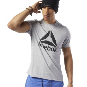 Koszulki Męskie Reebok Workout Ready Supremium Szare PL 26CHKPA